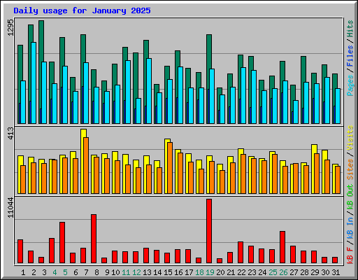 Daily usage for January 2025